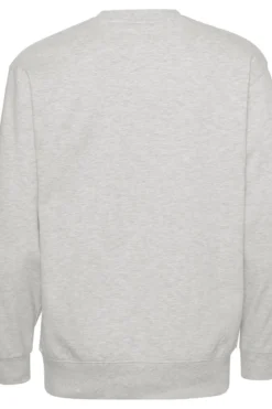 Basic Crewneck - Askegrå (dame)