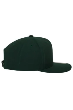 Classic Snapback - Spruce
