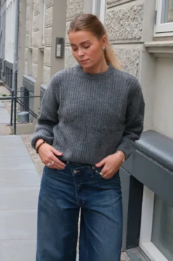 Gabriela Strik - Grå