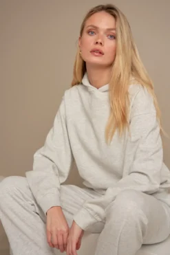 Hoodie Uden Snor - Grå