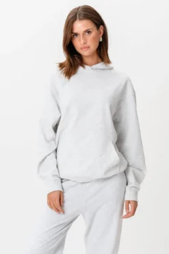 Hoodie Uden Snor - Grå
