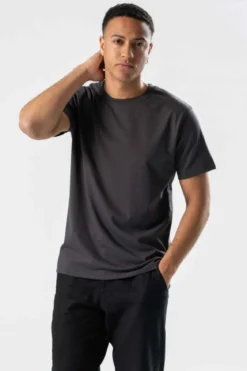 Regular T-shirt - Grå