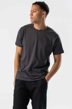 Regular T-shirt - Grå