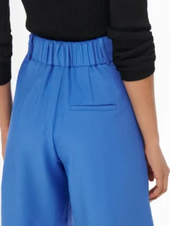 Violet Shorts - Strong Blue